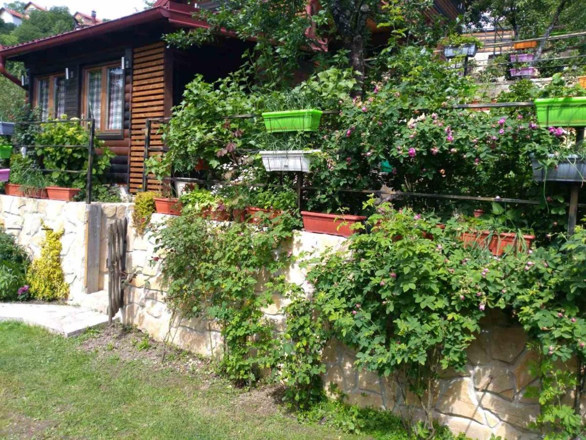 The Bungalows Saraybosna Dış mekan fotoğraf